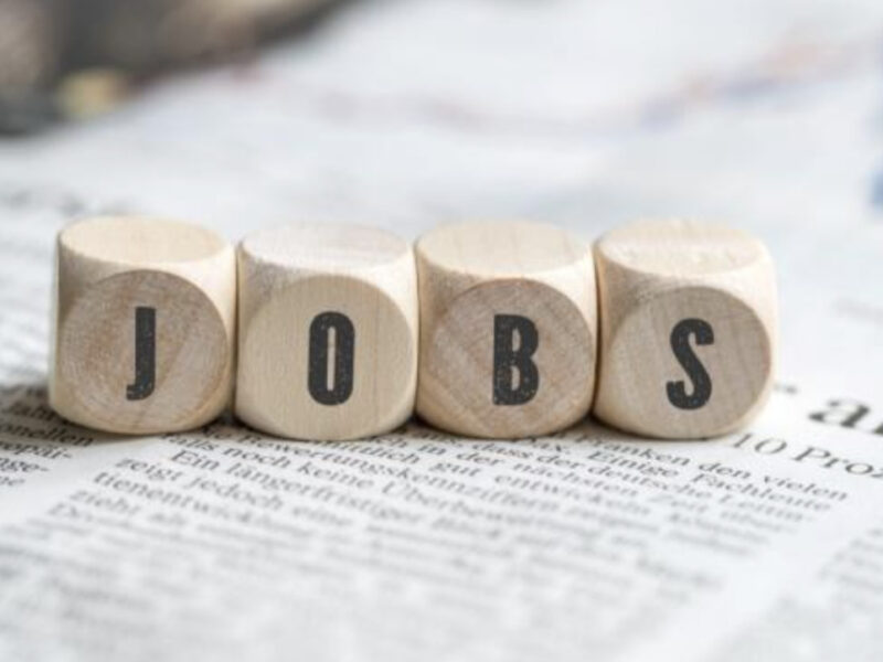 Government Is Putting Efforts To Increase The Job Creation